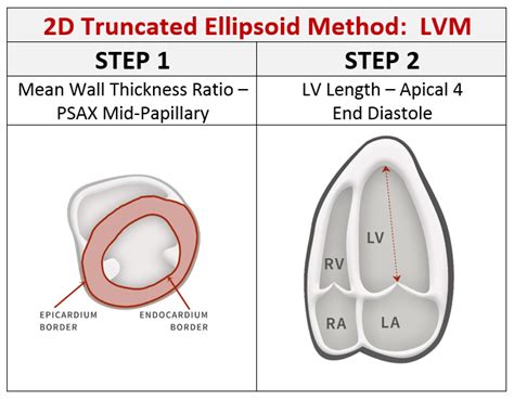 lv mass|lv mass 2d abnormal.